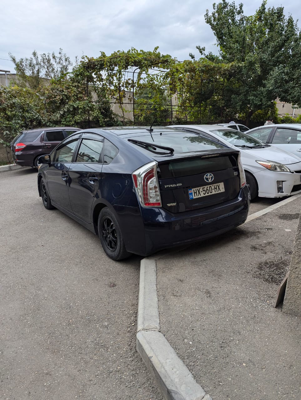 TOYOTA  Prius