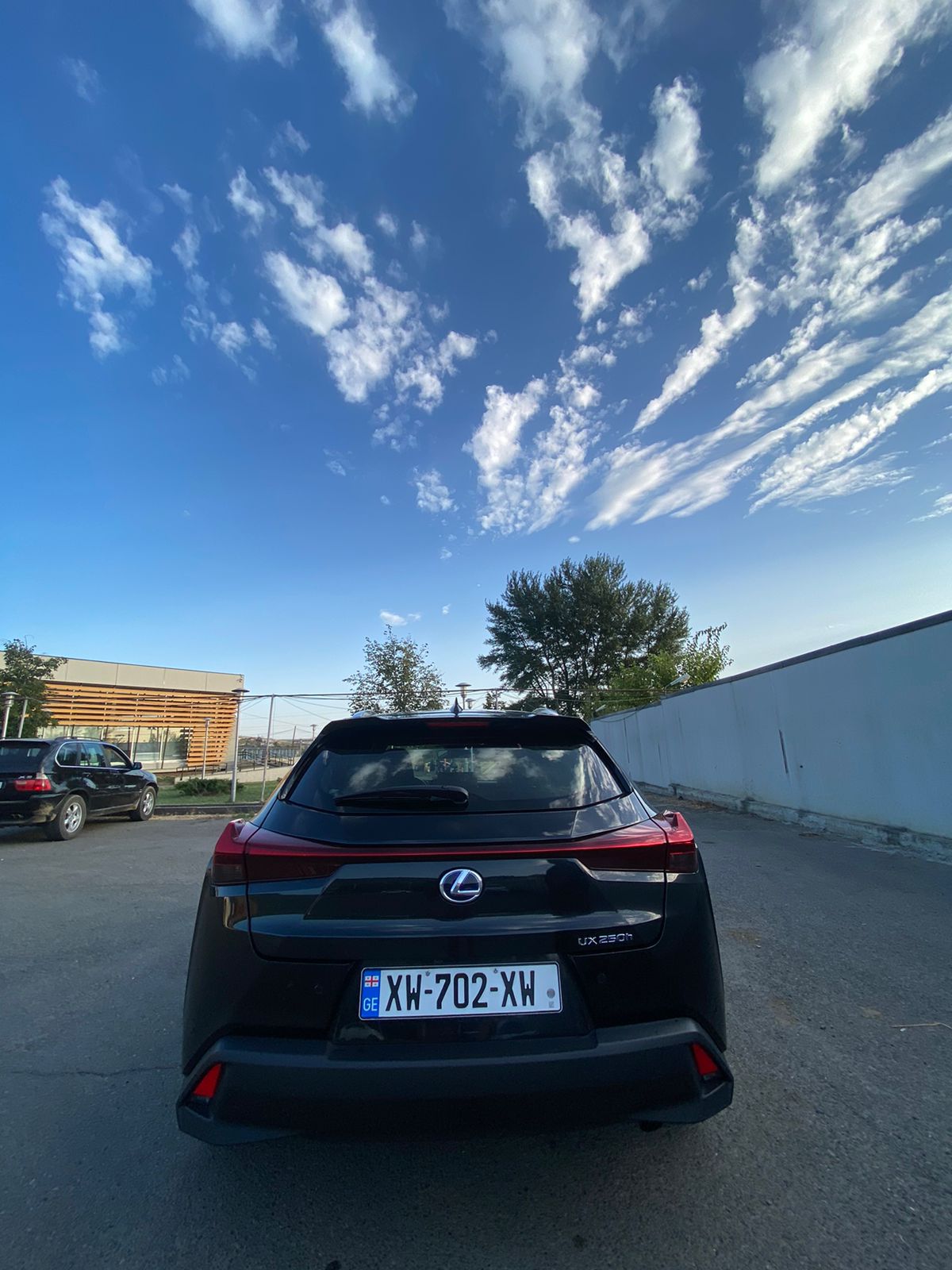 LEXUS UX250h