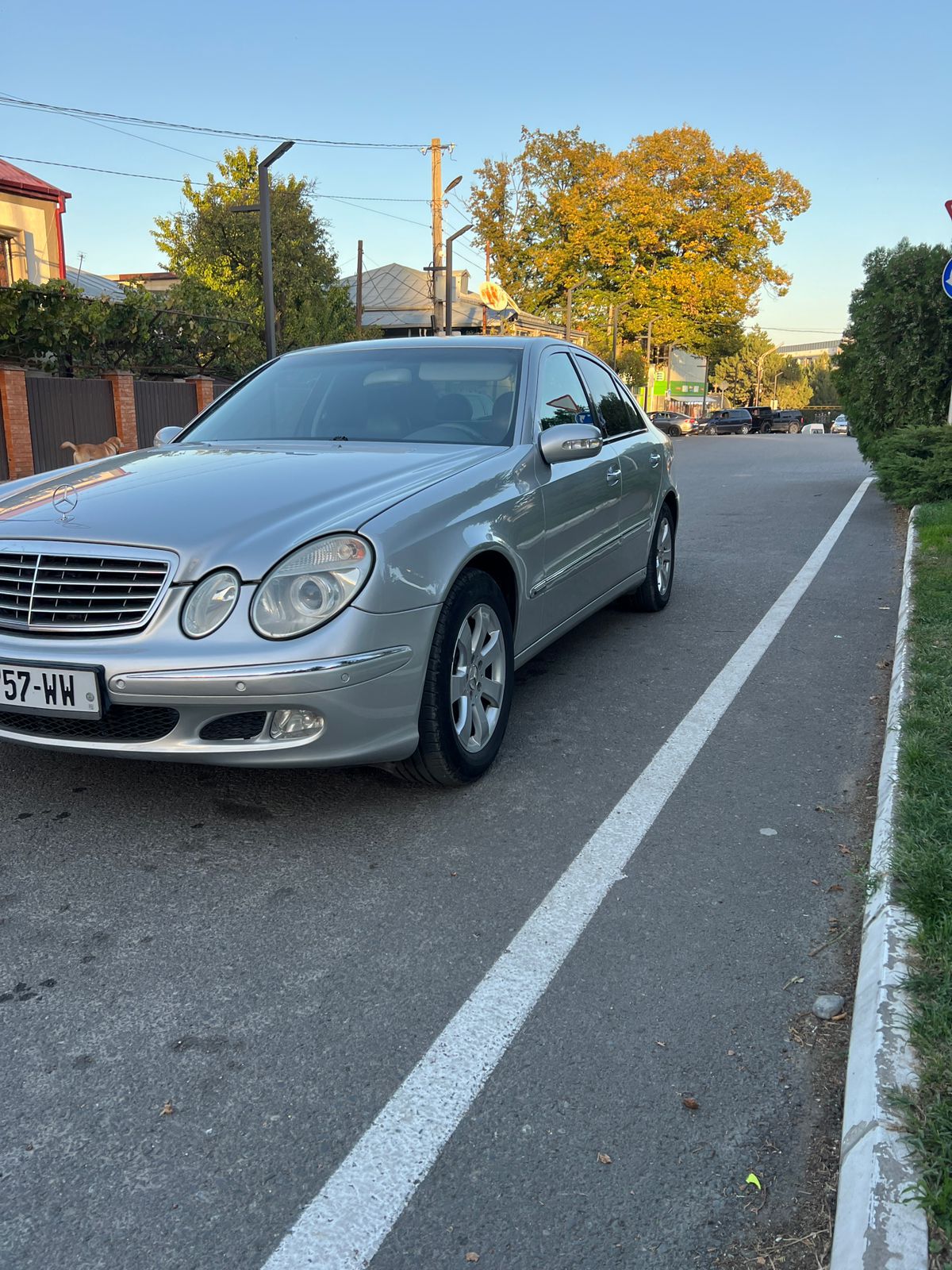 MERCEDES-BENZ E 220