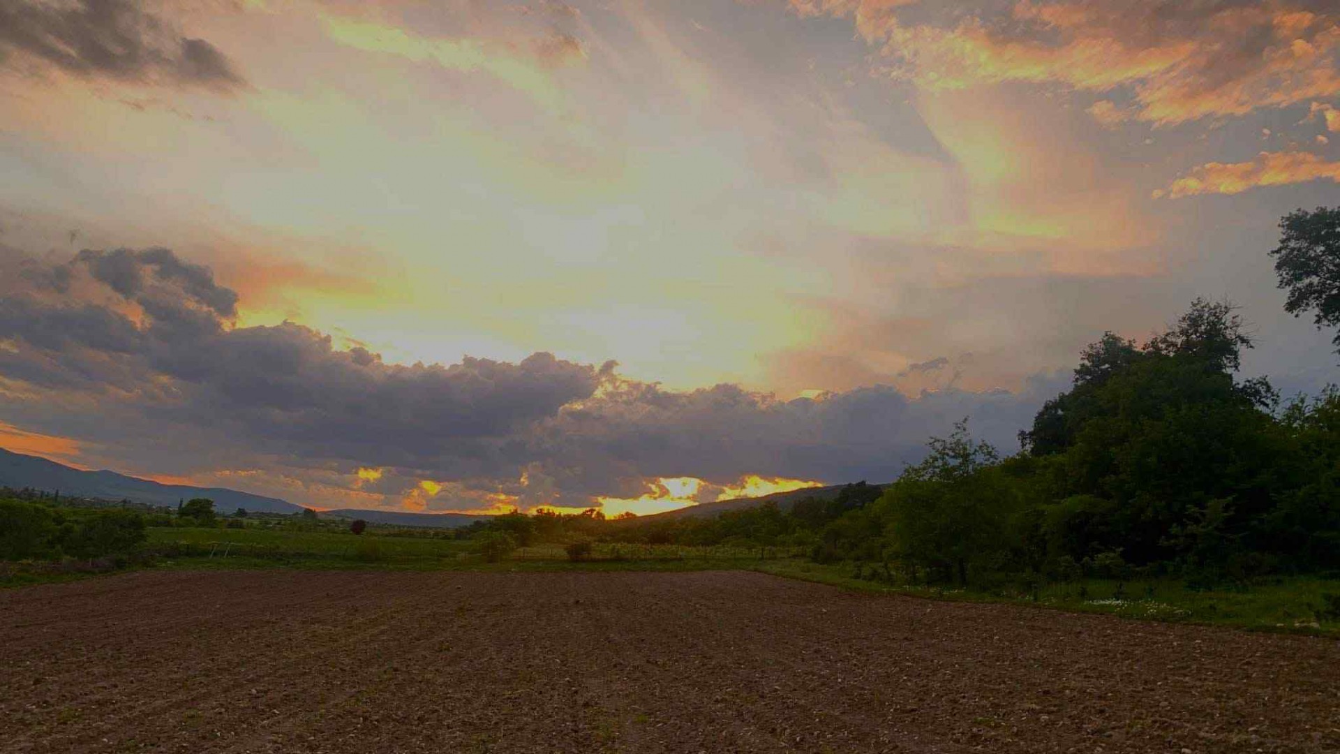 მცხეთის მუნიციპალიტეტი