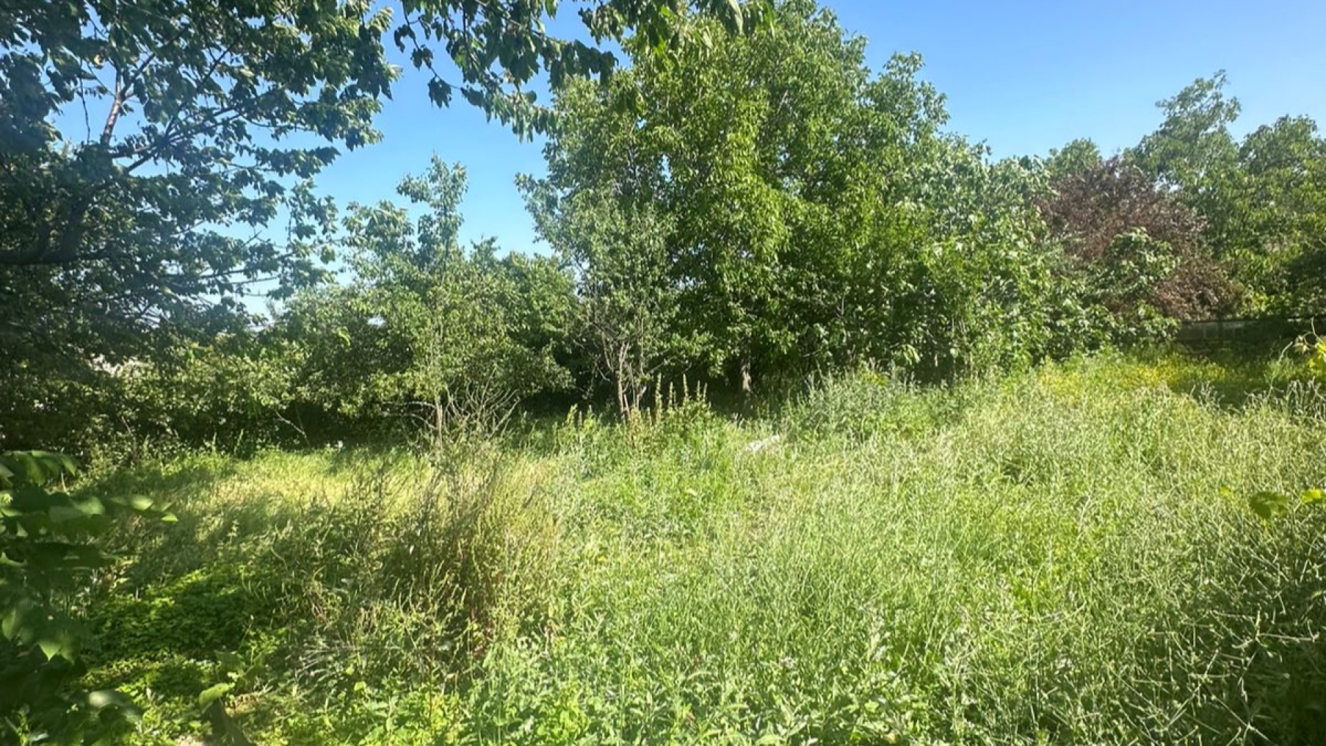 თბილისი