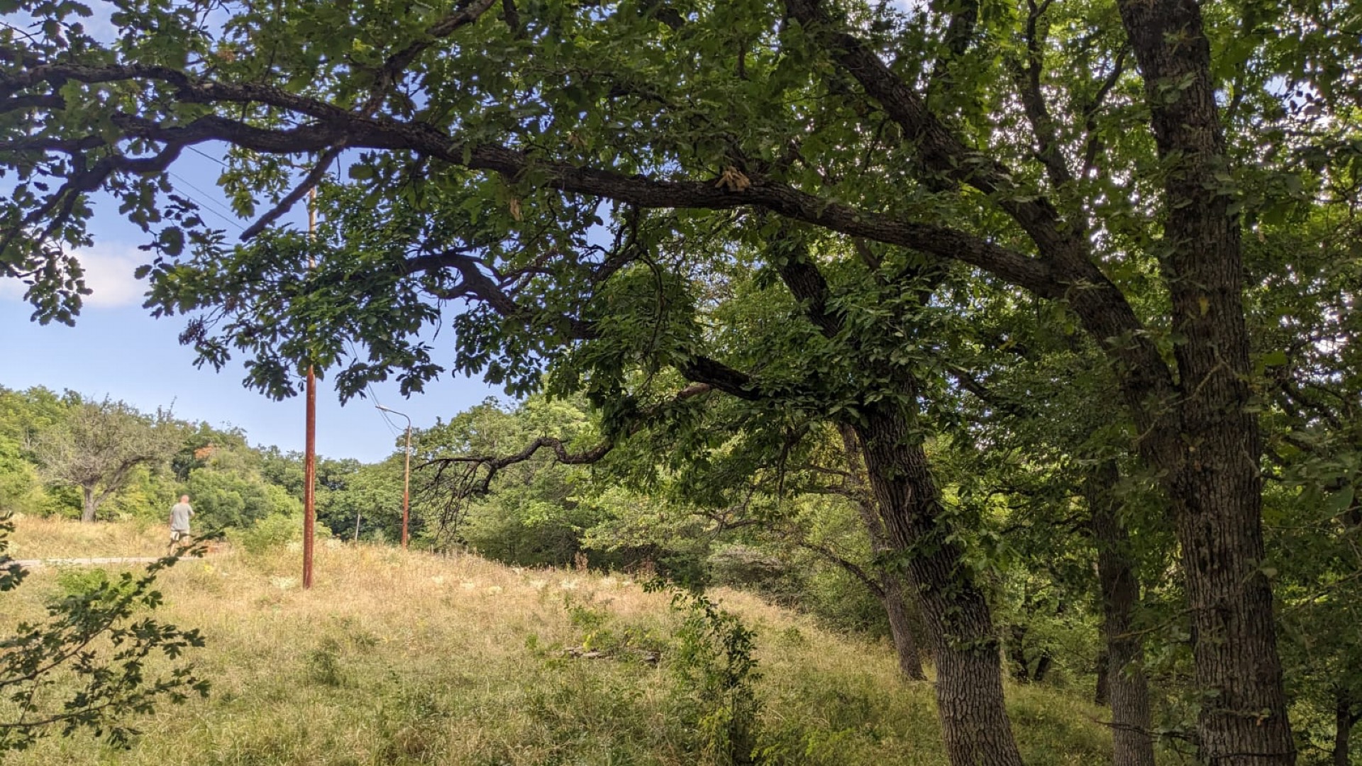 თბილისი