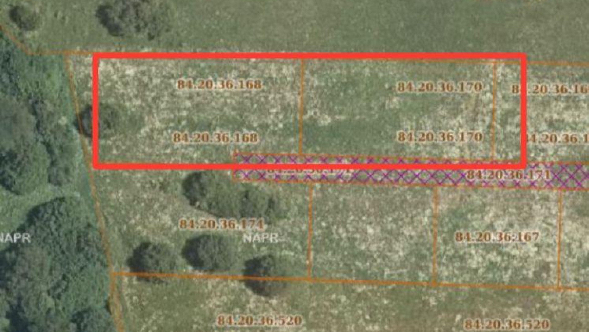 თეთრიწყაროს მუნიციპალიტეტი