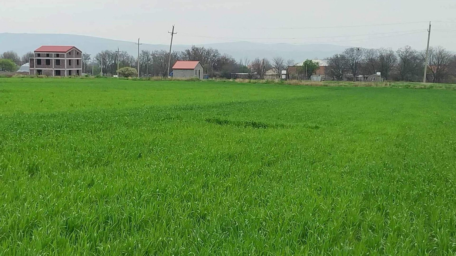 მიწის ნაკვეთი