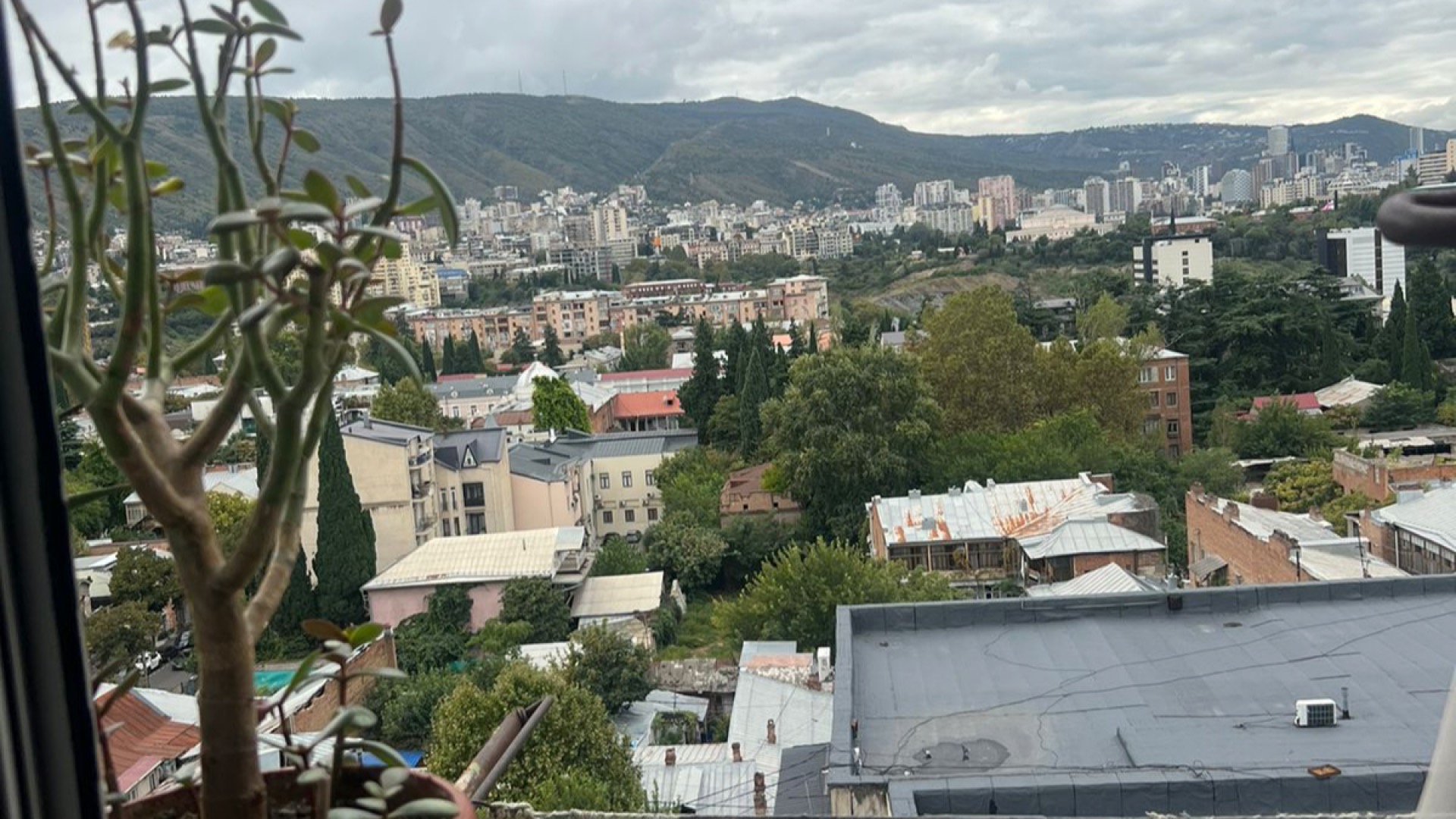 თბილისი