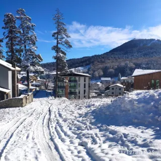 სასტუმრო ბინა 518 Bobline სასტუმრო ბინა ბაკურიანი - ბინა, ₾129-დან