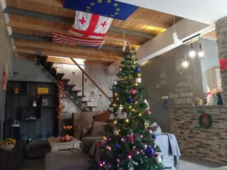 ბათუმის დევნის ოცნების ჰოსტელი 空间