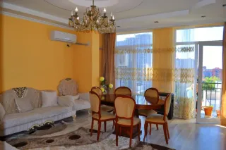 ბინა ევლია