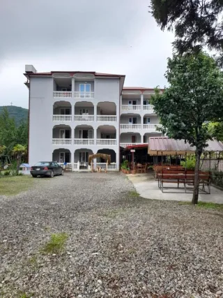 ბელი დომ