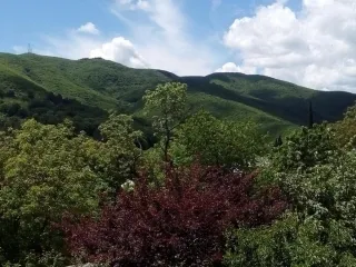 საუკეთესო - მასპინძელი