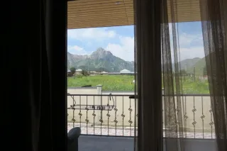 ბიბოს კოხი