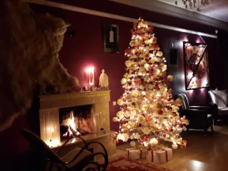 BIS-A სასტუმრო სახლი