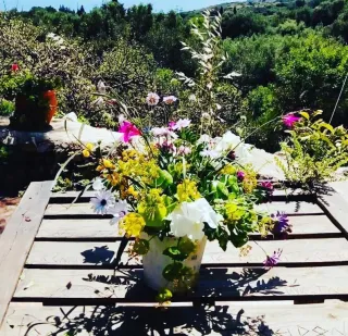 შავი ზღვის სანაპირო სახლი