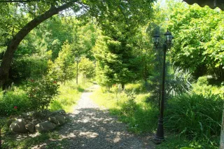 ბლუზის სოფელი