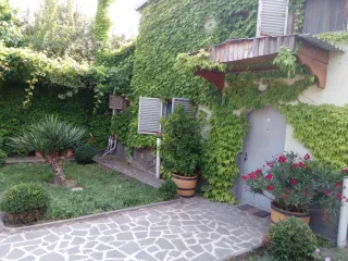 ბოლნისის გ