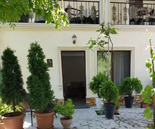 სასტუმრო ბორჯომი კლასიკური