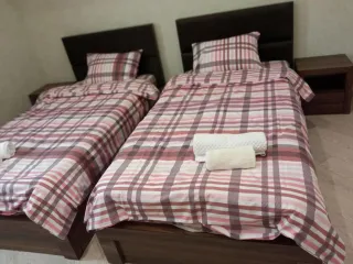 ბორჯომის მყუდრო სახლი