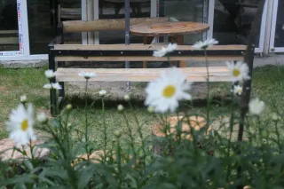 ბორჯომი მაყვალას სასტუმრო სახლი