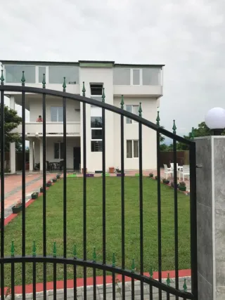 ბსგ რუსთაველის 184