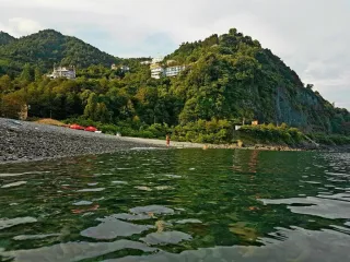 კალიფსო კვარიათი ინ