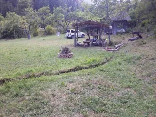 კამპ-ვუდს ლიკანი