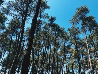 კემპინგის ადგილი ურეკი