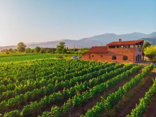 შატო ბარნაველის სასტუმრო