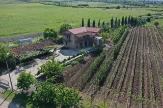 შატო კისისხევი