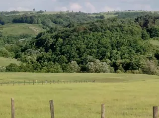 შატო ცხრუკვეთი