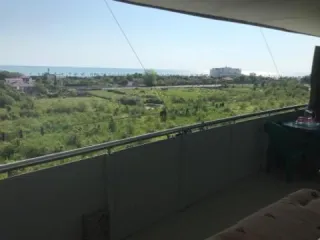 ციკოს ბინა