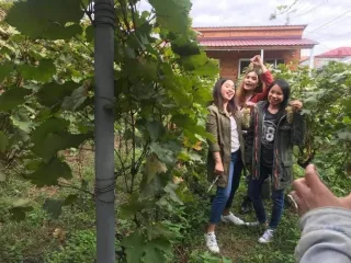 აგარაკი და გიგო პაპას ღვინის მარანი