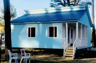 აგარაკი ანი გრიგოლეთში