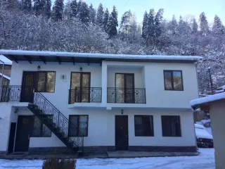 აგარაკი ერეკლეს 29 -ში