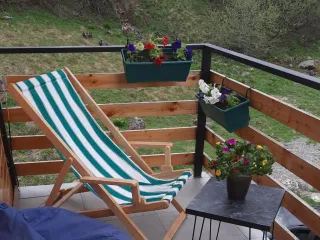 აგარაკი გუდაურში