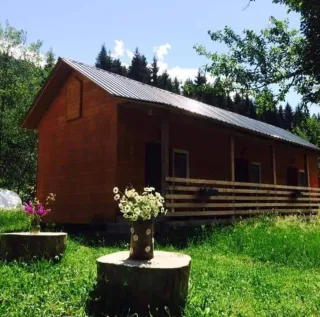 აგარაკი შგედი