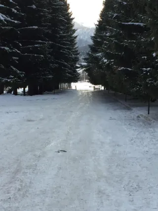 მყუდრო ბინა KK