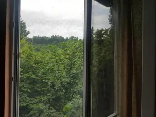 მყუდრო სასტუმრო სახლი ბათუმში