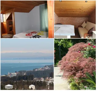 მყუდრო სახლი მწვანე კონცხი