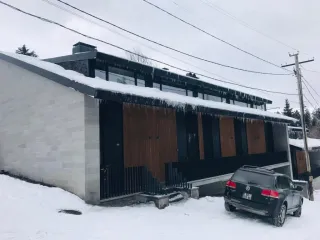 მყუდრო ვილა ბაკურიანში