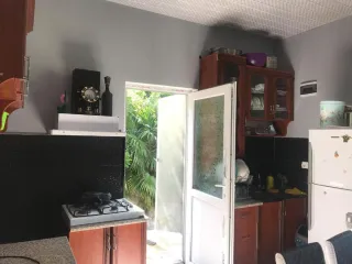 მონაცემები