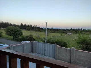 დორეული