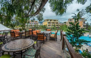 ოცნების მიწის ოაზისი