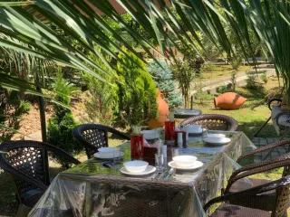 ეკო სახლი