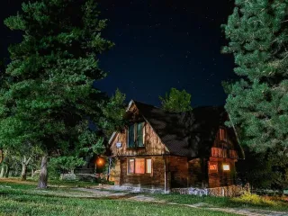 სპილოების ოჯახი