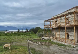 ელიზბარ თალაკვაძის მეღვინეობა