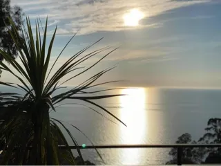 EVKALIPT კვარიათი