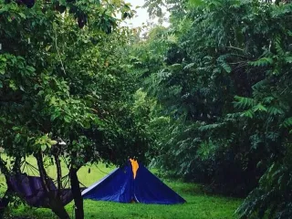 საოჯახო სასტუმრო ნარგული