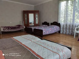 საოჯახო სახლი რაჭაში, ონში