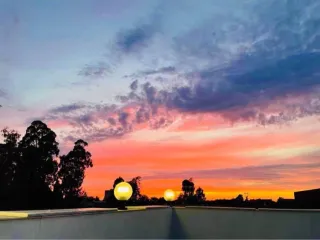 ფაზენდა