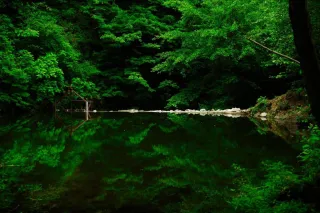 ფერემტა